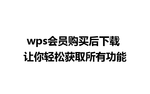 wps会员购买后下载 让你轻松获取所有功能