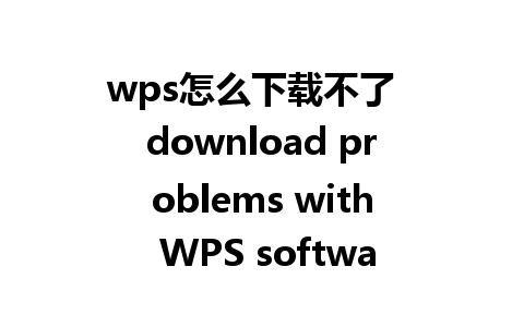 wps怎么下载不了  download problems with WPS software