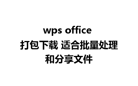 wps office 打包下载 适合批量处理和分享文件