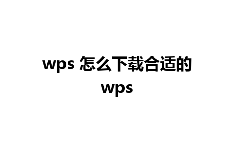 wps 怎么下载合适的wps