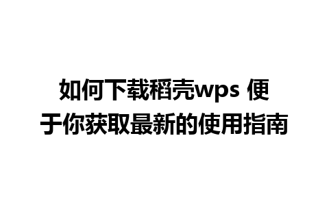 如何下载稻壳wps 便于你获取最新的使用指南