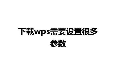 下载wps需要设置很多参数