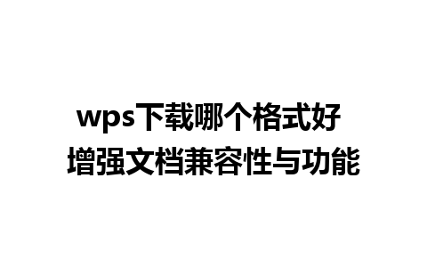 wps下载哪个格式好 增强文档兼容性与功能