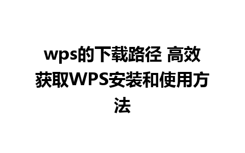 wps的下载路径 高效获取WPS安装和使用方法