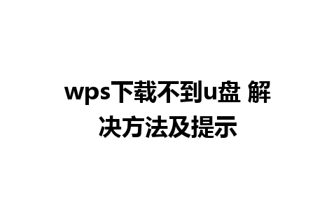 wps下载不到u盘 解决方法及提示