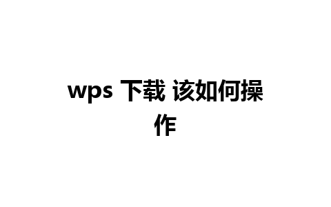 wps 下载 该如何操作