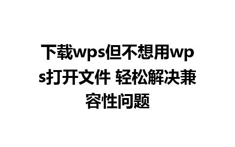 下载wps但不想用wps打开文件 轻松解决兼容性问题