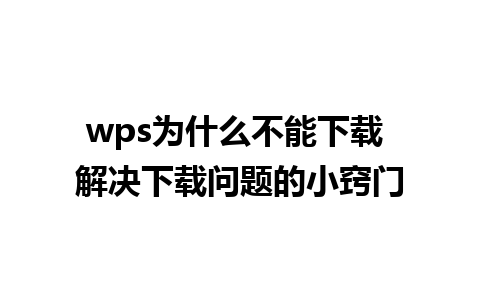 wps为什么不能下载 解决下载问题的小窍门