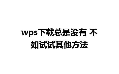 wps下载总是没有 不如试试其他方法