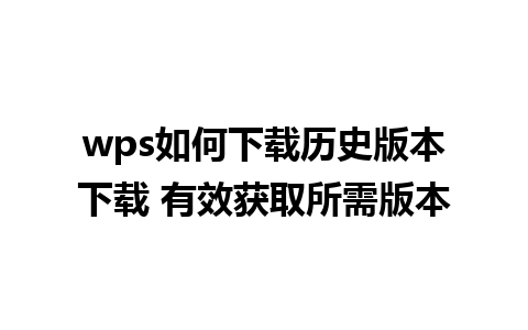 wps如何下载历史版本下载 有效获取所需版本