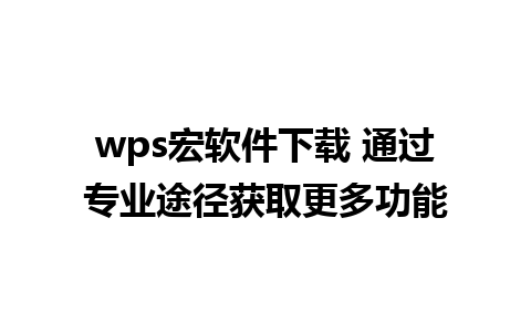 wps宏软件下载 通过专业途径获取更多功能