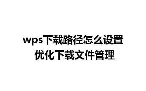 wps下载路径怎么设置 优化下载文件管理