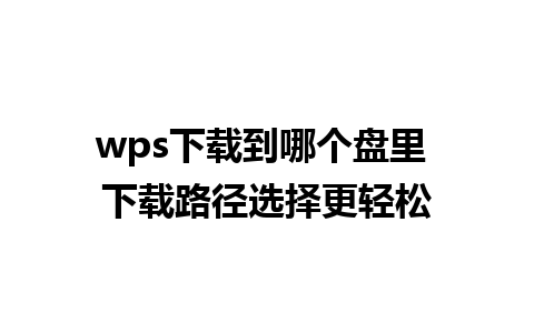 wps下载到哪个盘里 下载路径选择更轻松