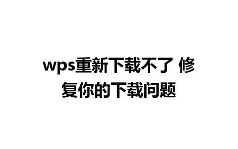 wps重新下载不了 修复你的下载问题