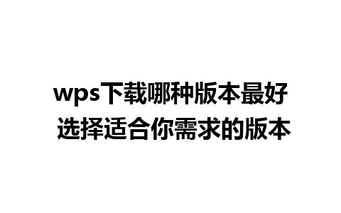 wps下载哪种版本最好 选择适合你需求的版本