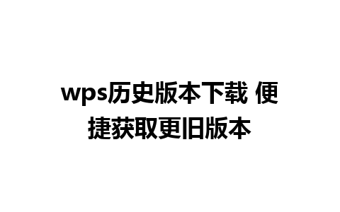 wps历史版本下载 便捷获取更旧版本