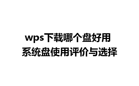 wps下载哪个盘好用 系统盘使用评价与选择