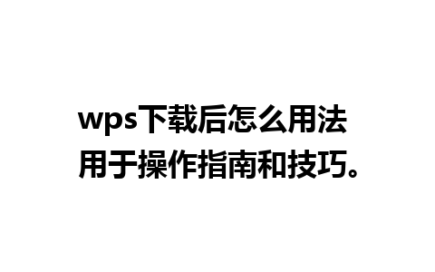 wps下载后怎么用法 用于操作指南和技巧。