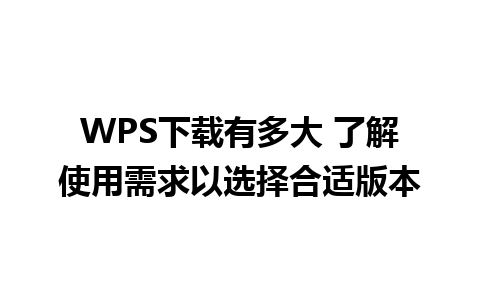 WPS下载有多大 了解使用需求以选择合适版本