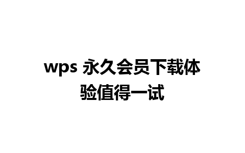 wps 永久会员下载体验值得一试