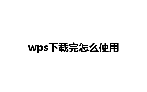 wps下载完怎么使用 