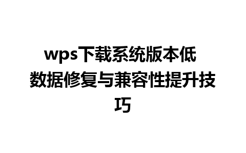 wps下载系统版本低 数据修复与兼容性提升技巧