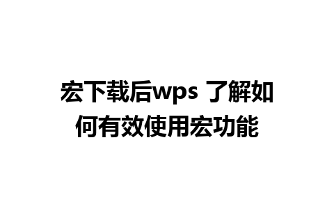 宏下载后wps 了解如何有效使用宏功能