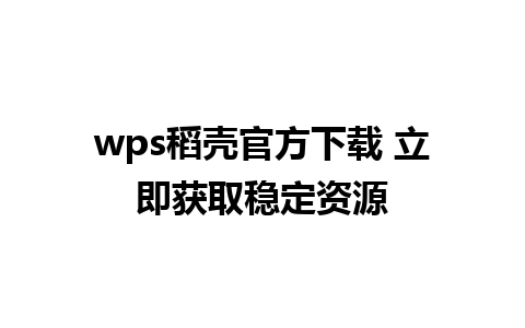 wps稻壳官方下载 立即获取稳定资源