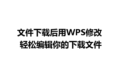 文件下载后用WPS修改 轻松编辑你的下载文件