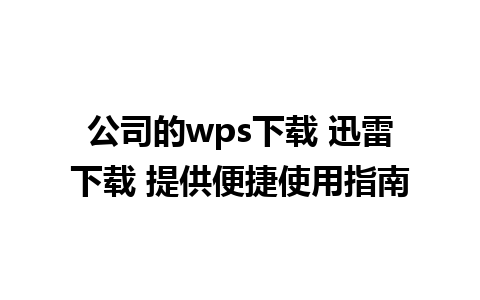 公司的wps下载 迅雷下载 提供便捷使用指南