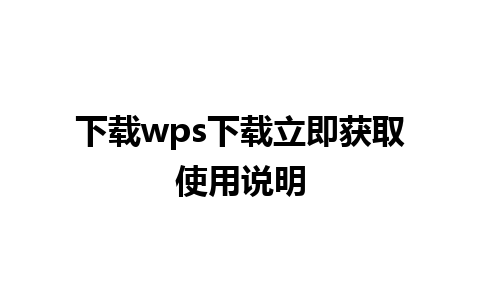 下载wps下载立即获取使用说明