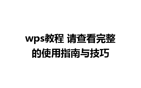 wps教程 请查看完整的使用指南与技巧