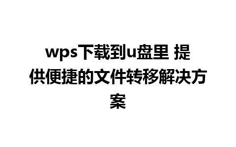 wps下载到u盘里 提供便捷的文件转移解决方案