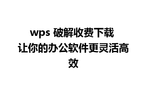 wps 破解收费下载 让你的办公软件更灵活高效