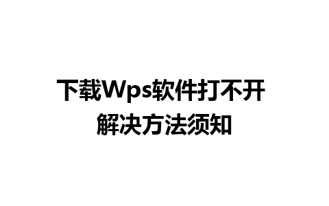 下载Wps软件打不开 解决方法须知