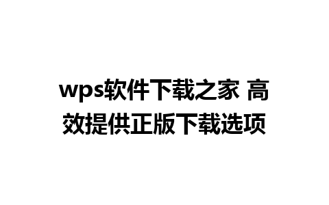 wps软件下载之家 高效提供正版下载选项