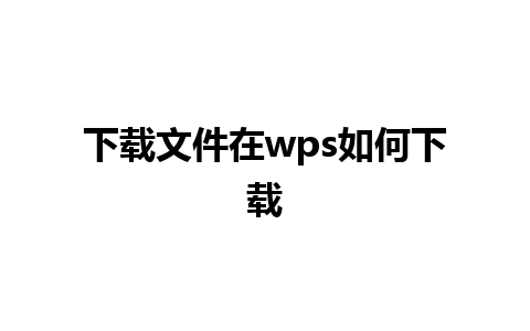 下载文件在wps如何下载 