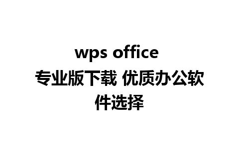 wps office 专业版下载 优质办公软件选择