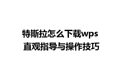 特斯拉怎么下载wps 直观指导与操作技巧