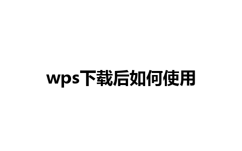 wps下载后如何使用 