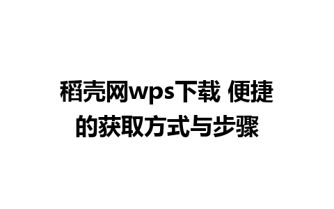 稻壳网wps下载 便捷的获取方式与步骤