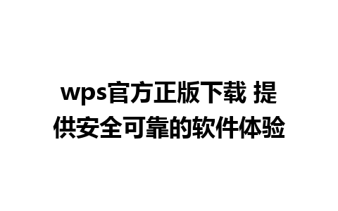 wps官方正版下载 提供安全可靠的软件体验