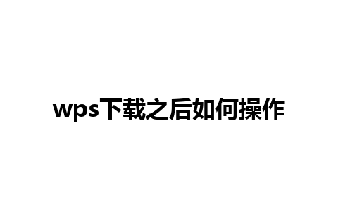 wps下载之后如何操作 