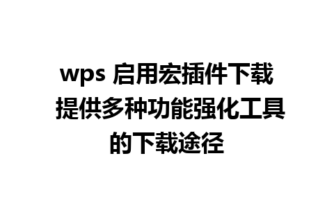 wps 启用宏插件下载 提供多种功能强化工具的下载途径