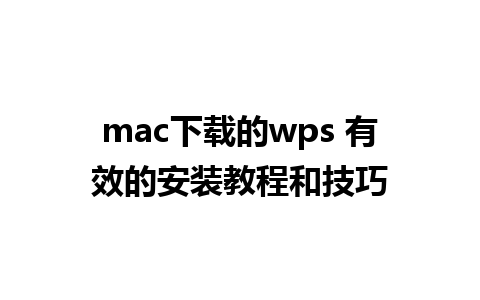 mac下载的wps 有效的安装教程和技巧