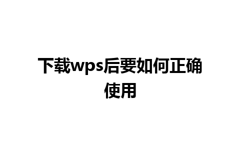 下载wps后要如何正确使用