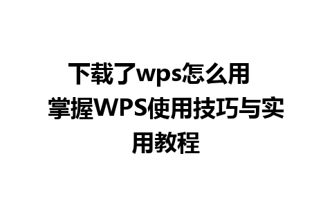 下载了wps怎么用  掌握WPS使用技巧与实用教程