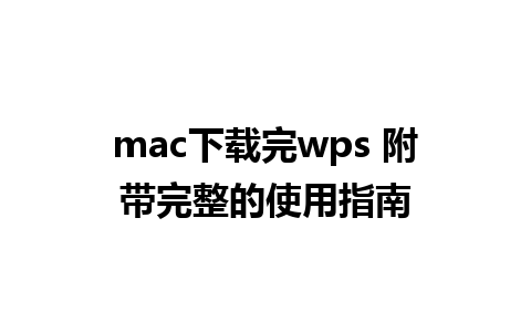 mac下载完wps 附带完整的使用指南