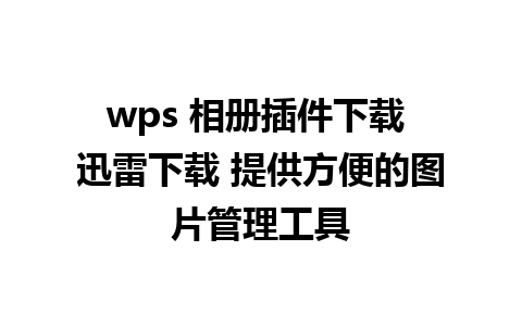 wps 相册插件下载 迅雷下载 提供方便的图片管理工具