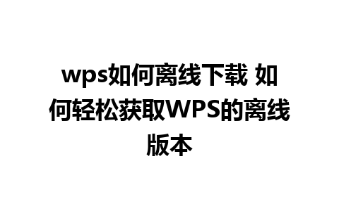 wps如何离线下载 如何轻松获取WPS的离线版本